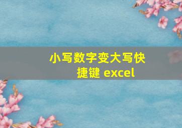 小写数字变大写快捷键 excel